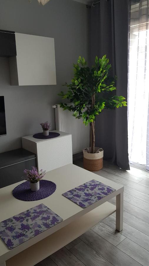 Boznicza Old Town Lux Apartment, Self Check-In 24H, Free Parking Poznan Exterior photo